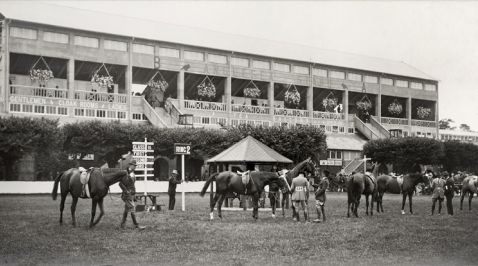 Dublin Horse Show Archive