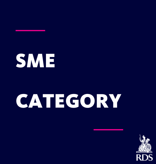 2. SME Award Category