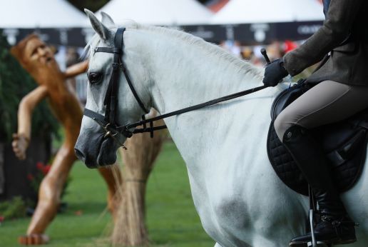 National Equestrian Education Pathway (NEEP)