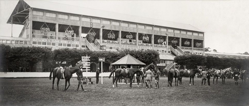 Dublin Horse Show Archive