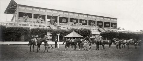 Dublin Horse Show Archive