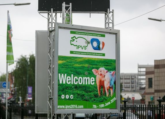 Case Study - MCI Group 