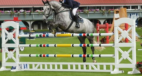 2021 Show Jumping Information