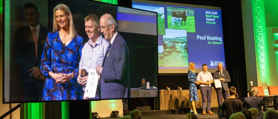 RDS Livestock Awards