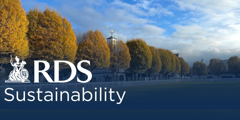 Sustainability at the RDS
